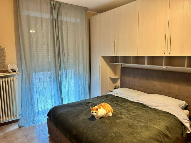 Appartamento in affitto a San Donato Milanese