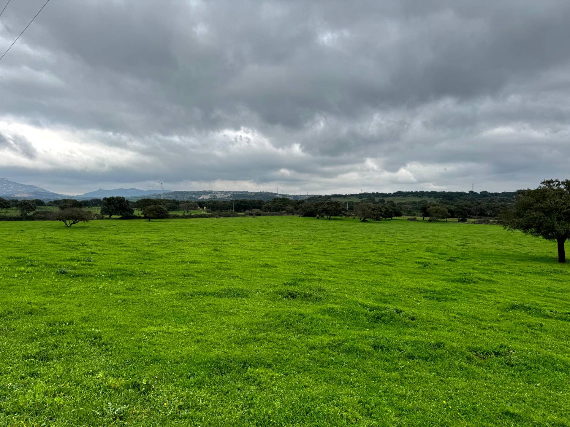 Terreno agricolo in vendita a Tempio Pausania (SS)