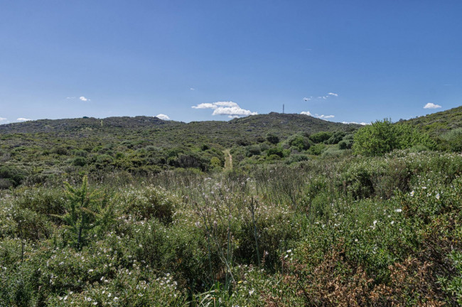 Terreno Agricolo in vendita a Santa Teresa Gallura