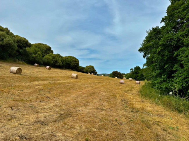 TERRENO LOCALITA' S. MARCO in vendita a Luogosanto