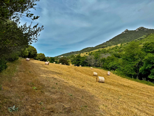 TERRENO LOCALITA' S. MARCO in vendita a Luogosanto