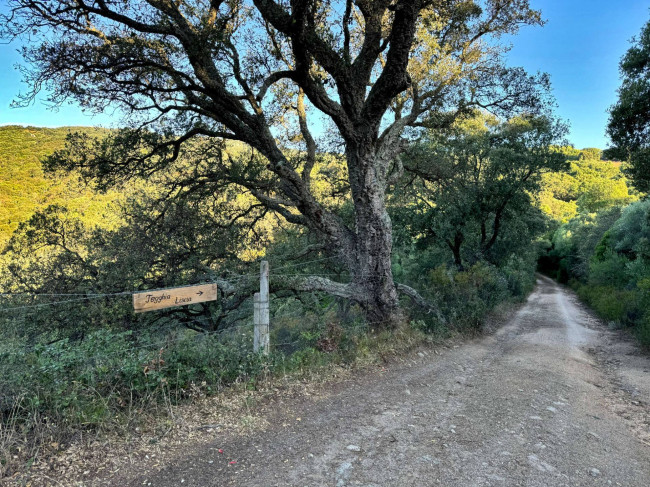 Casa singola in vendita a Luogosanto