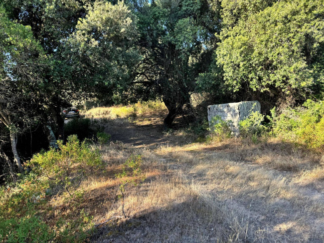 Casa singola in vendita a Luogosanto