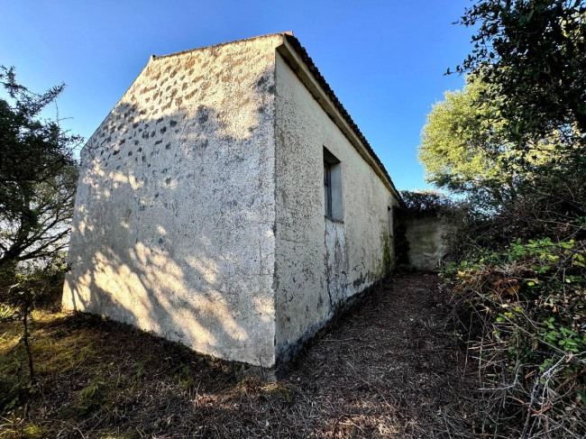 Casa singola in vendita a Luogosanto