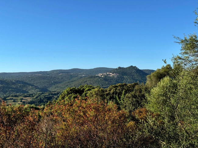 Casa singola in vendita a Luogosanto