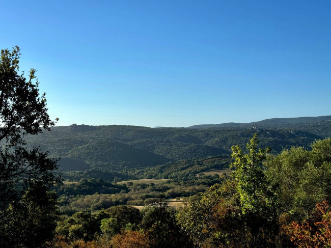 Casa singola in vendita a Luogosanto