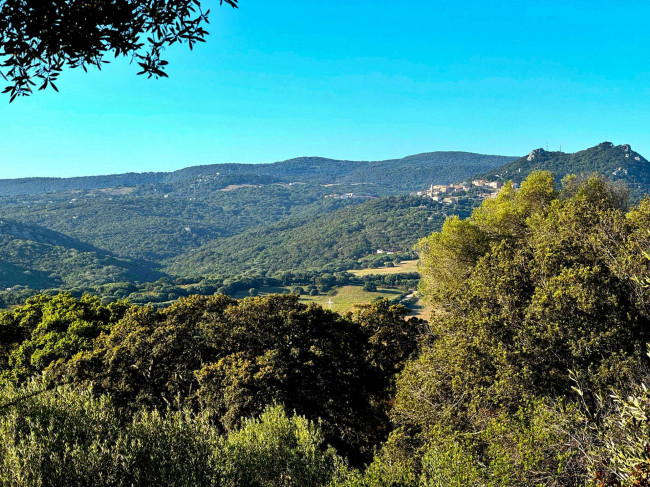 Casa singola in vendita a Luogosanto