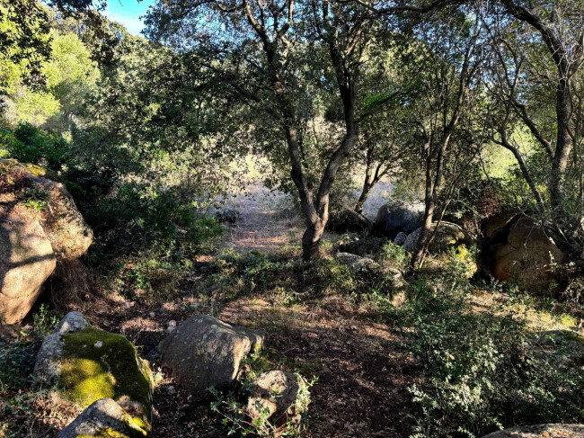 Casa singola in vendita a Luogosanto