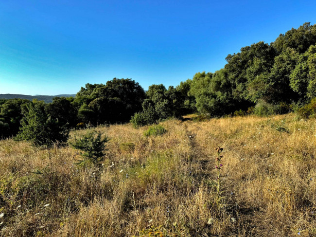 Casa singola in vendita a Luogosanto
