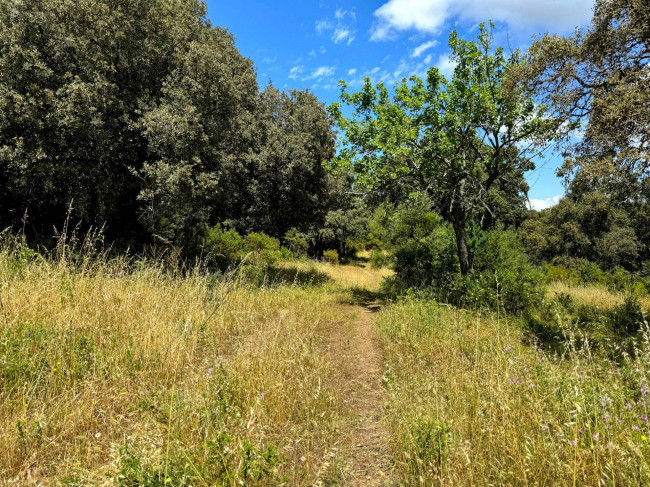 Casa singola in vendita a Luogosanto