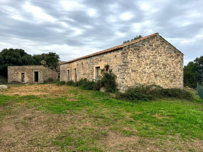 Terreno agricolo in vendita a Luogosanto (SS)