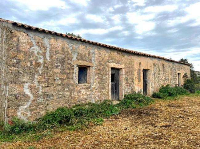 Terreno agricolo in vendita a Luogosanto (SS)