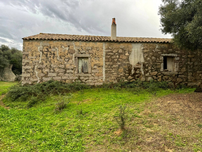 Terreno agricolo in vendita a Luogosanto (SS)