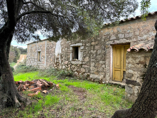 Terreno agricolo in vendita a Luogosanto (SS)