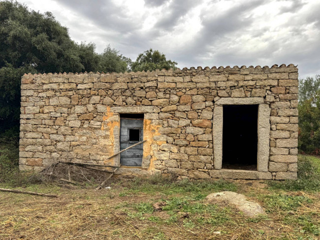 Terreno agricolo in vendita a Luogosanto (SS)