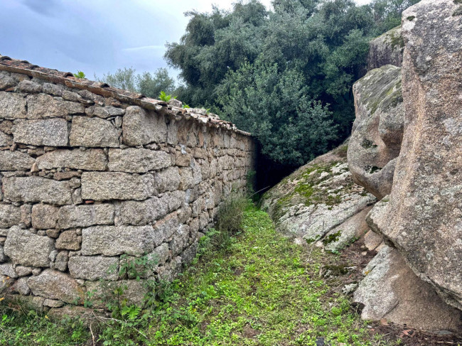 Terreno agricolo in vendita a Luogosanto (SS)