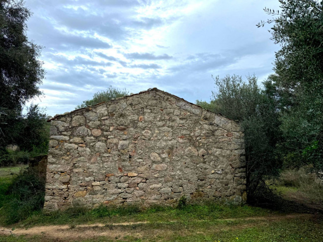 Terreno agricolo in vendita a Luogosanto (SS)