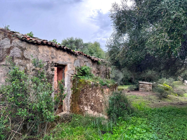 Terreno agricolo in vendita a Luogosanto (SS)