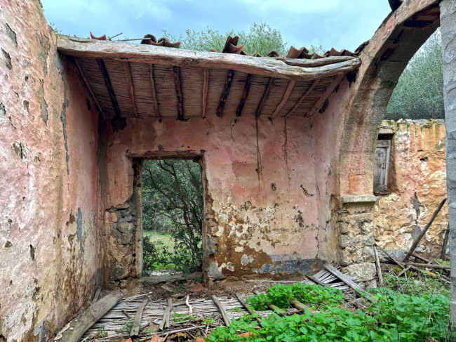 Terreno agricolo in vendita a Luogosanto (SS)