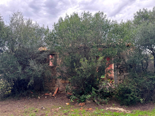 Terreno agricolo in vendita a Luogosanto (SS)