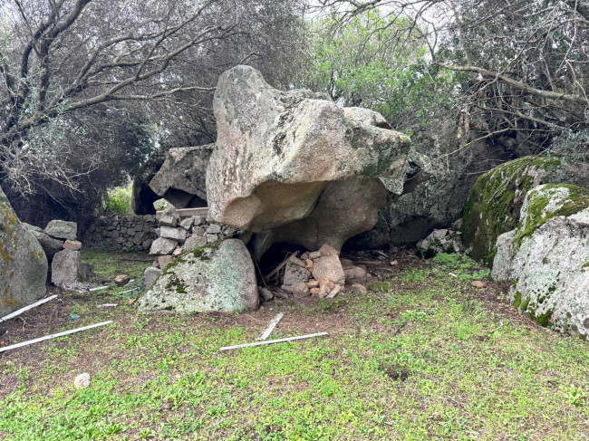 Terreno agricolo in vendita a Luogosanto (SS)