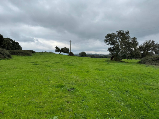 Terreno agricolo in vendita a Tempio Pausania (SS)