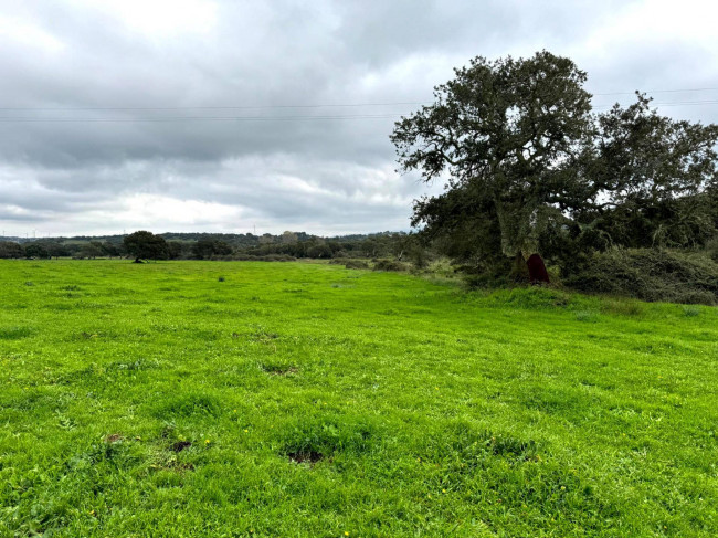 Terreno agricolo in vendita a Tempio Pausania (SS)