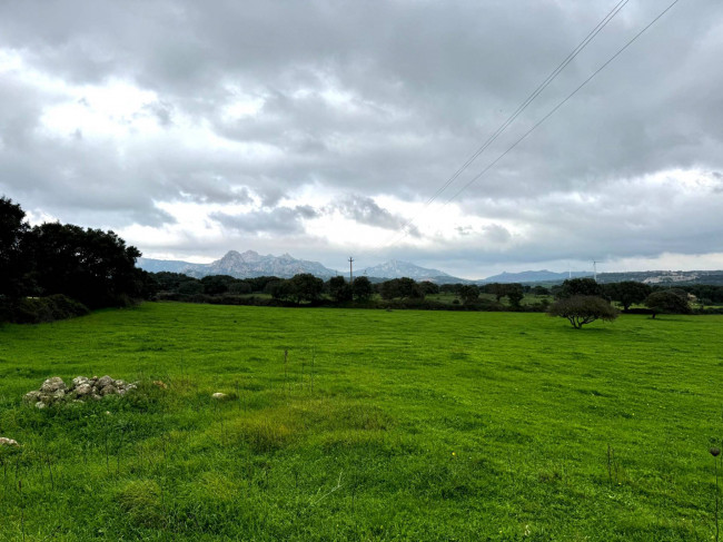 Terreno agricolo in vendita a Tempio Pausania (SS)