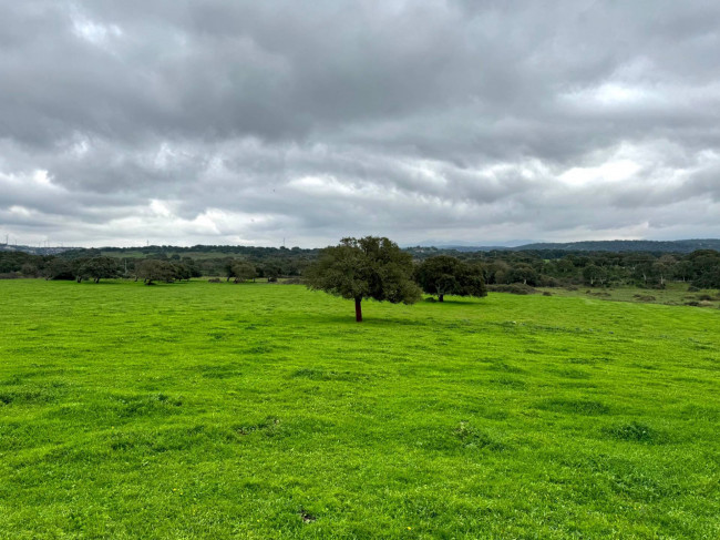 Terreno agricolo in vendita a Tempio Pausania (SS)