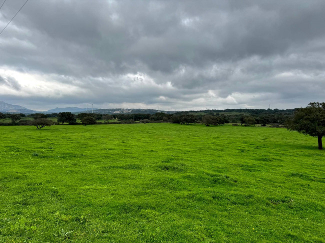 Terreno agricolo in vendita a Tempio Pausania (SS)