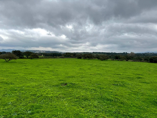 Terreno agricolo in vendita a Tempio Pausania (SS)