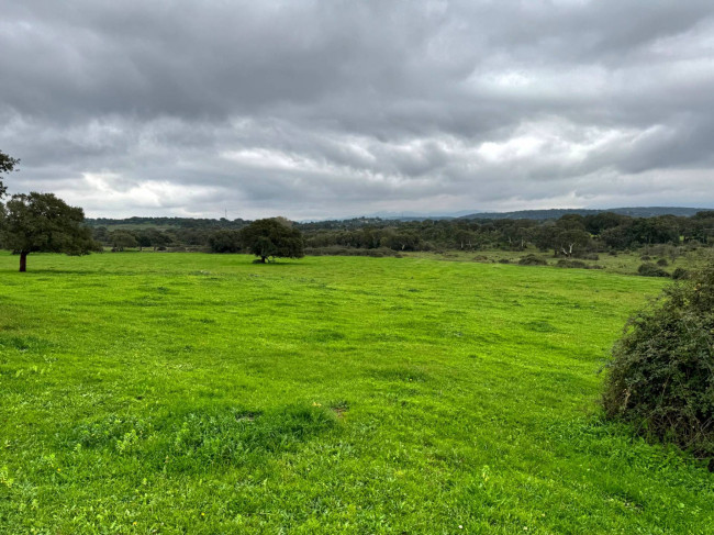 Terreno agricolo in vendita a Tempio Pausania (SS)