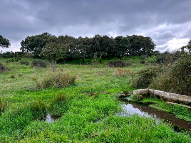 Terreno agricolo in vendita a Tempio Pausania (SS)