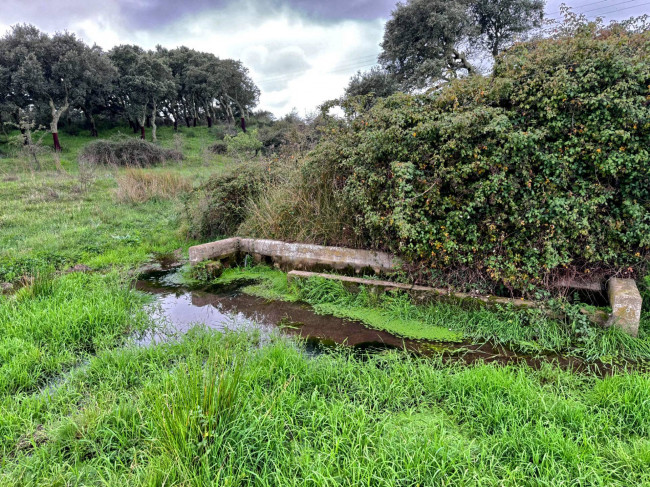 Terreno agricolo in vendita a Tempio Pausania (SS)