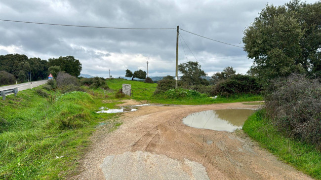 Terreno agricolo in vendita a Tempio Pausania (SS)