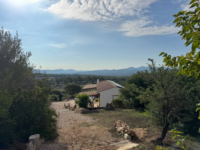 Casa singola in vendita a Arzachena