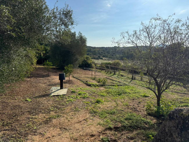 Casa singola in vendita a Arzachena