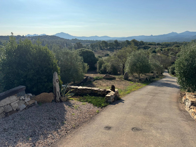 Casa singola in vendita a Arzachena