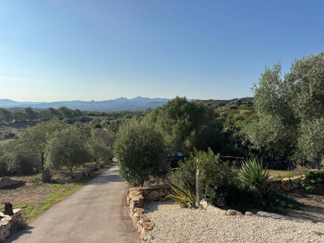 Casa singola in vendita a Arzachena