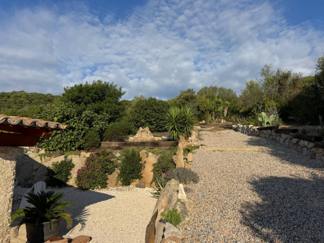 Casa singola in vendita a Arzachena