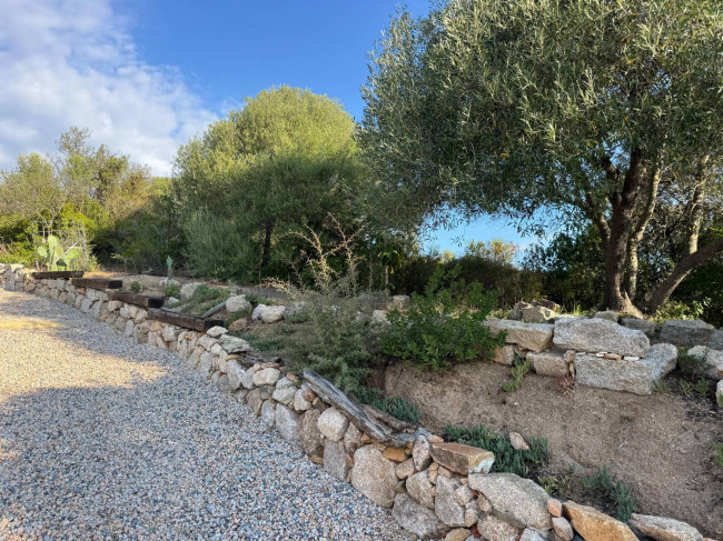 Casa singola in vendita a Arzachena