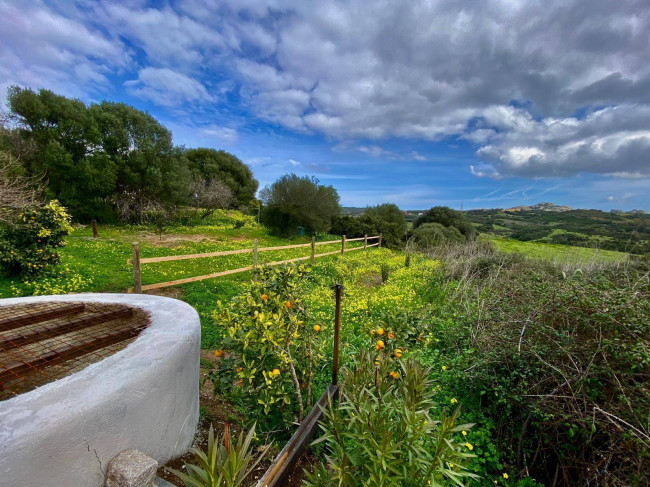 Casa singola in vendita a Arzachena