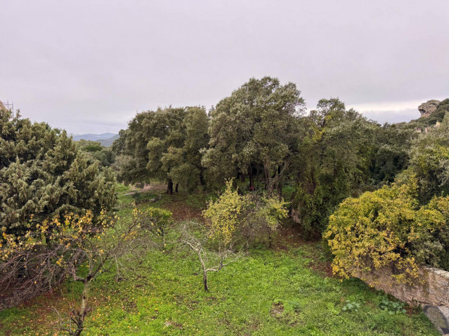 Appartamento in vendita a Luogosanto
