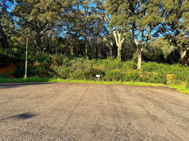 TERRENO EDIFICABILE ZONA RESIDENZIALE LUOGOSANTO in vendita a Luogosanto