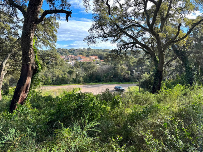 TERRENO EDIFICABILE ZONA RESIDENZIALE LUOGOSANTO in vendita a Luogosanto