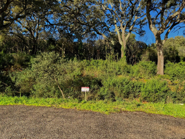 TERRENO EDIFICABILE ZONA RESIDENZIALE LUOGOSANTO in vendita a Luogosanto