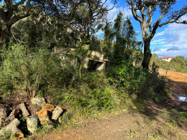 TERRENO EDIFICABILE ZONA RESIDENZIALE LUOGOSANTO in vendita a Luogosanto