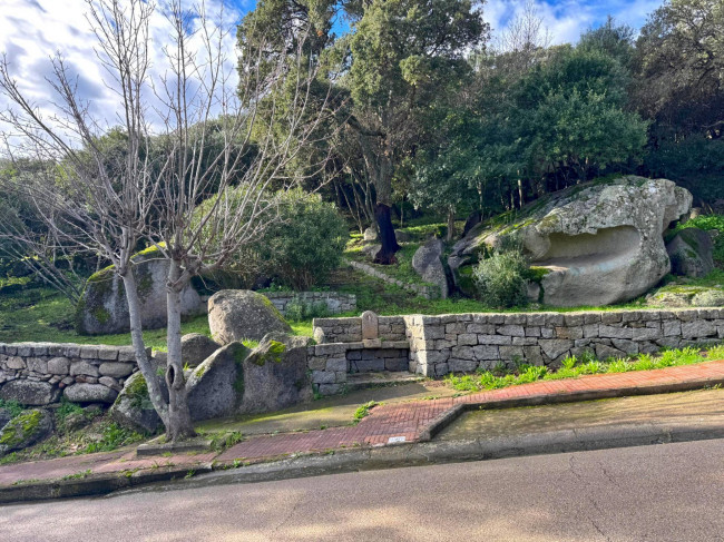 TERRENO EDIFICABILE ZONA RESIDENZIALE LUOGOSANTO in vendita a Luogosanto