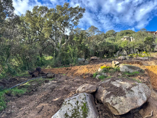 TERRENO EDIFICABILE ZONA RESIDENZIALE LUOGOSANTO in vendita a Luogosanto