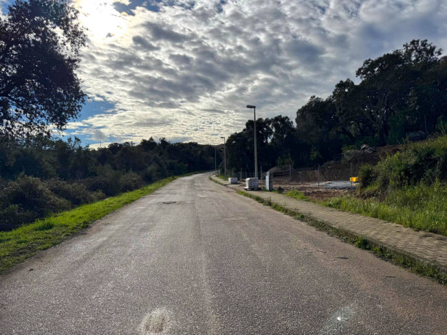 TERRENO EDIFICABILE ZONA RESIDENZIALE LUOGOSANTO in vendita a Luogosanto